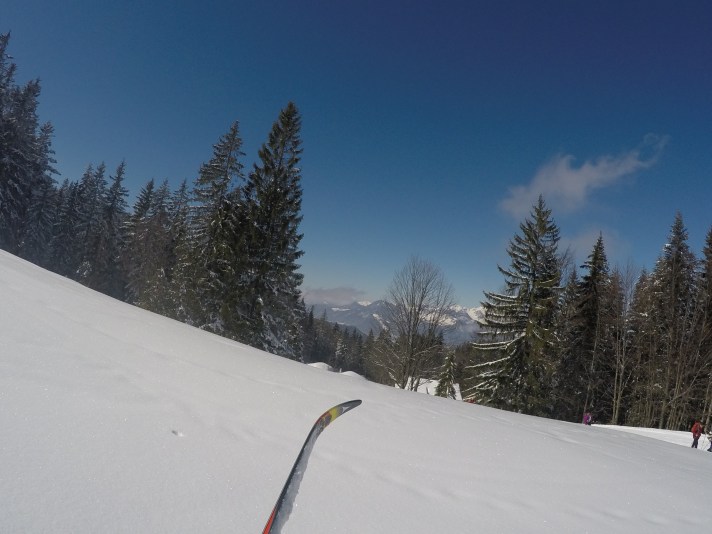 DCIM100GOPROG0220135.