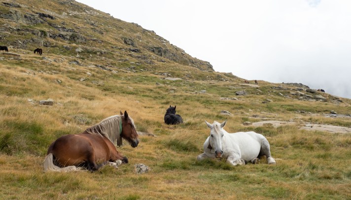 kuva: Pertti Asikainen