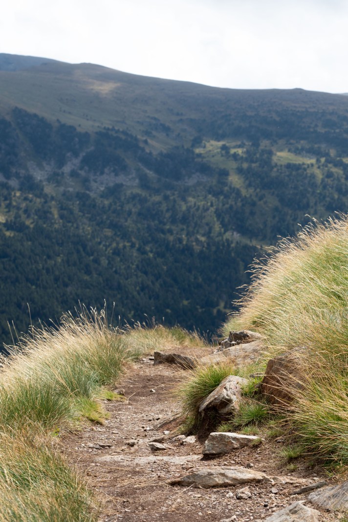 kuva: Pertti Asikainen